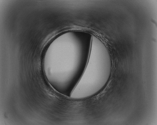 X0000092030247200709061356