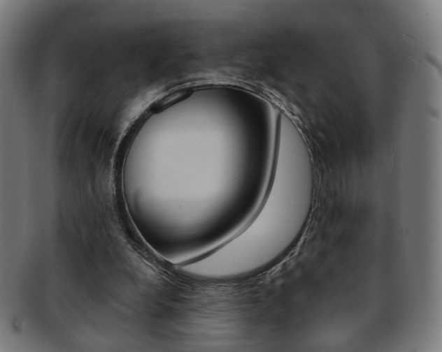 X0000092030248200709061356