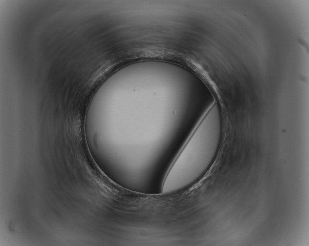 X0000092030249200709061356