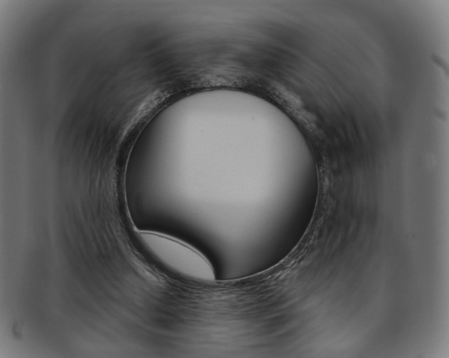 X0000092030250200709061356
