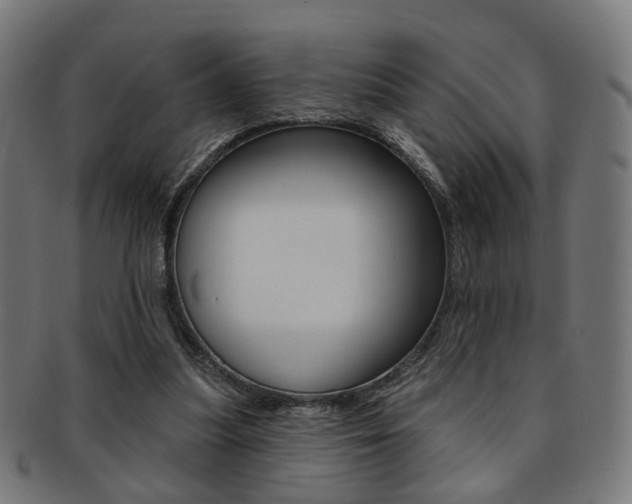 X0000092030251200709061357