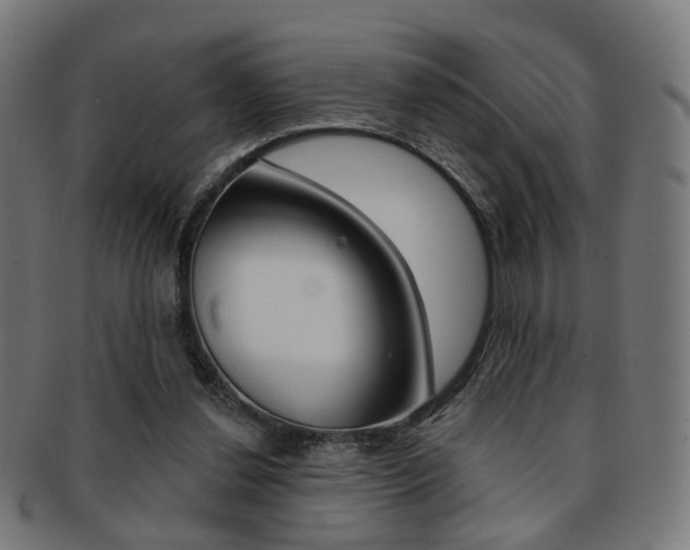 X0000092030252200709061357