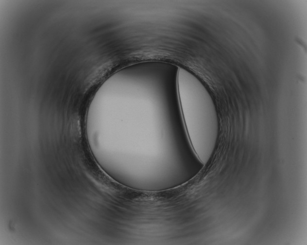 X0000092030254200709061357