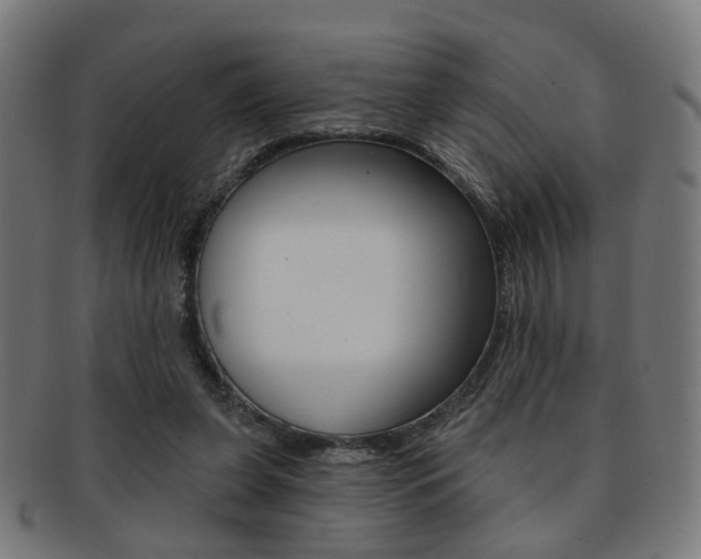 X0000092030255200709061357
