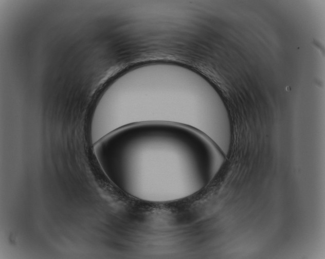 X0000092030256200709061357