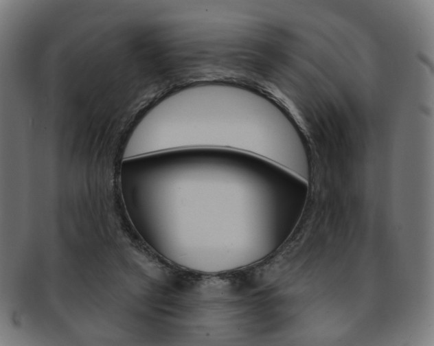X0000092030257200709061357