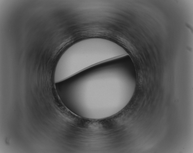 X0000092030258200709061357