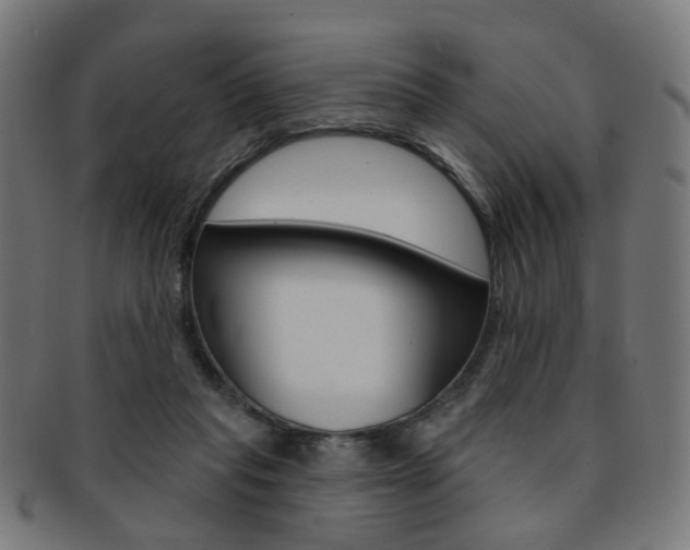 X0000092030261200709061357