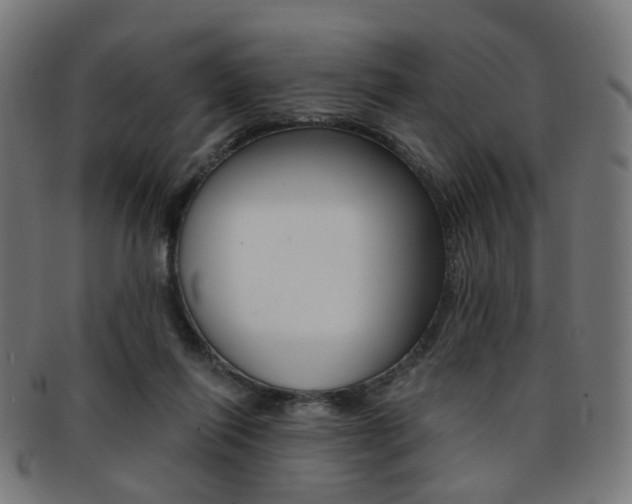 X0000092030262200709061357