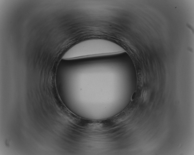 X0000092030266200709061357