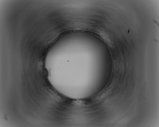 X0000092030269200709061357