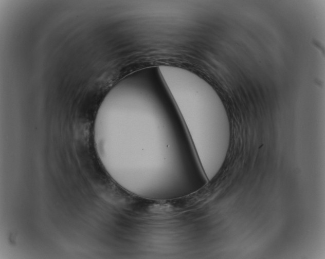 X0000092030271200709061357