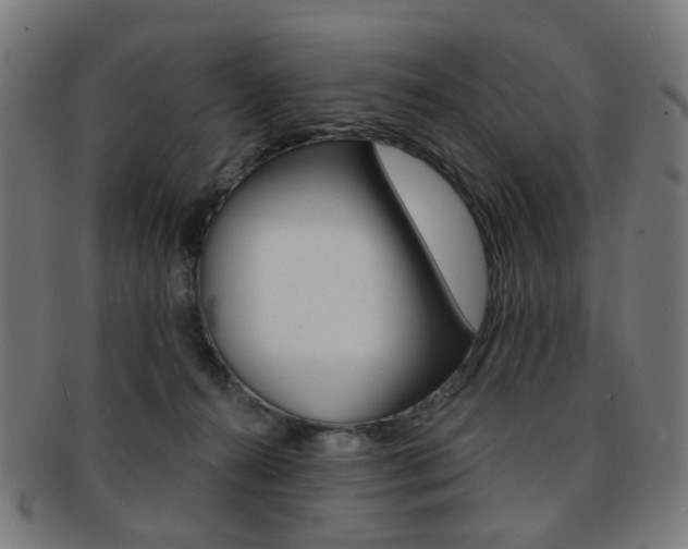 X0000092030272200709061357