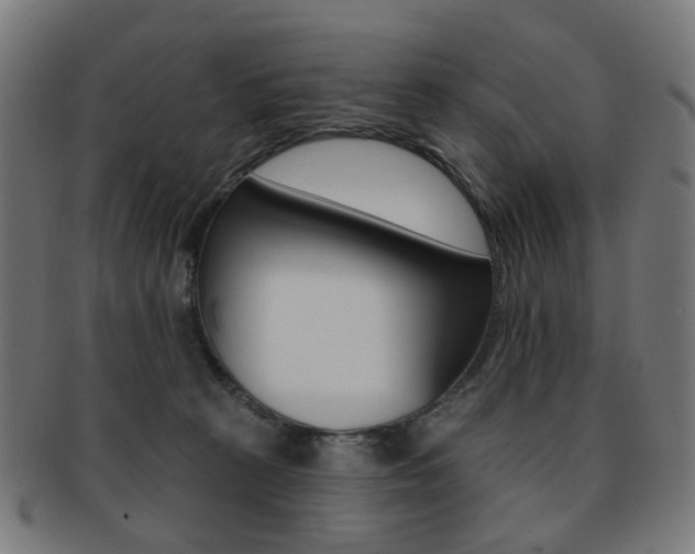 X0000092030273200709061357