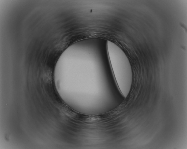 X0000092030274200709061357