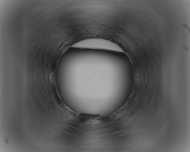 X0000092030276200709061357