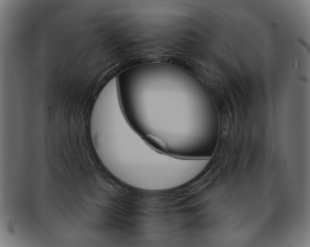 X0000092030279200709061357