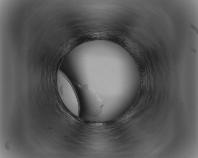 X0000092030281200709061357