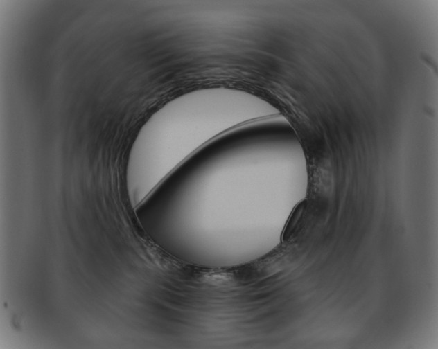 X0000092030283200709061357