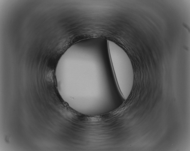 X0000092030286200709061357