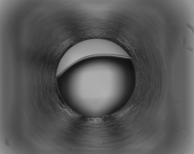 X0000092030288200709061357