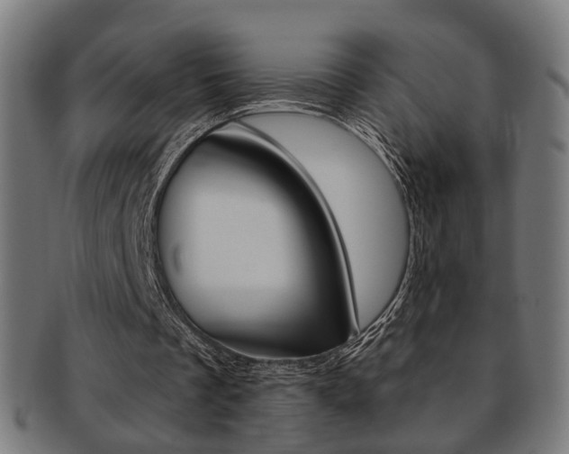 X0000092030289200709061356