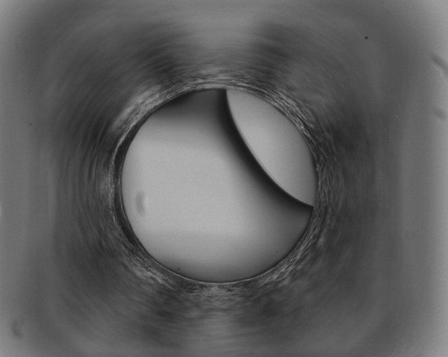 X0000092030290200709061356