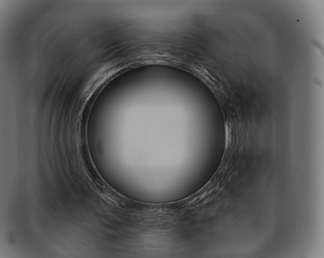 X0000092030291200709061356
