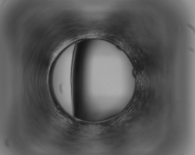 X0000092030292200709061356
