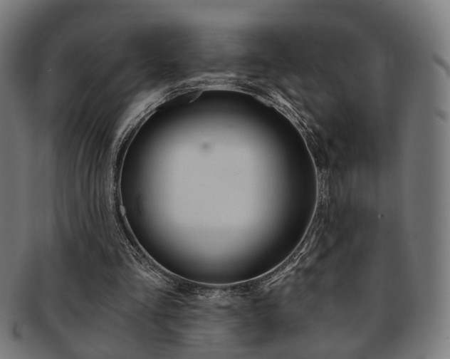 X0000092030293200709061356