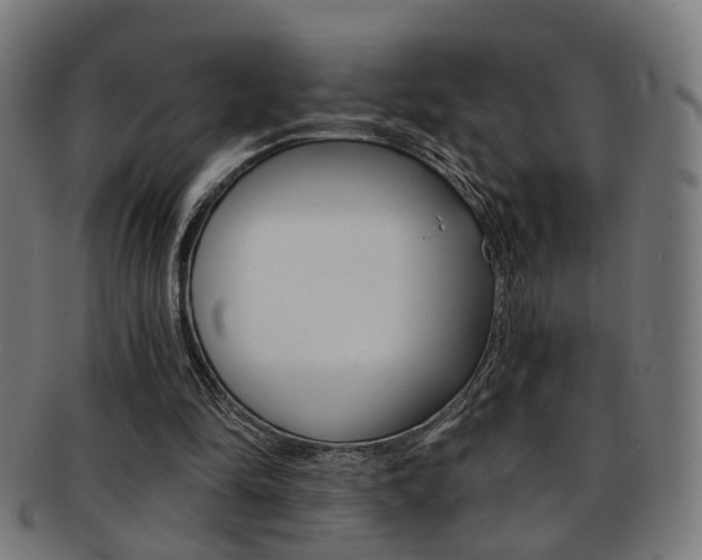 X0000092030294200709061356