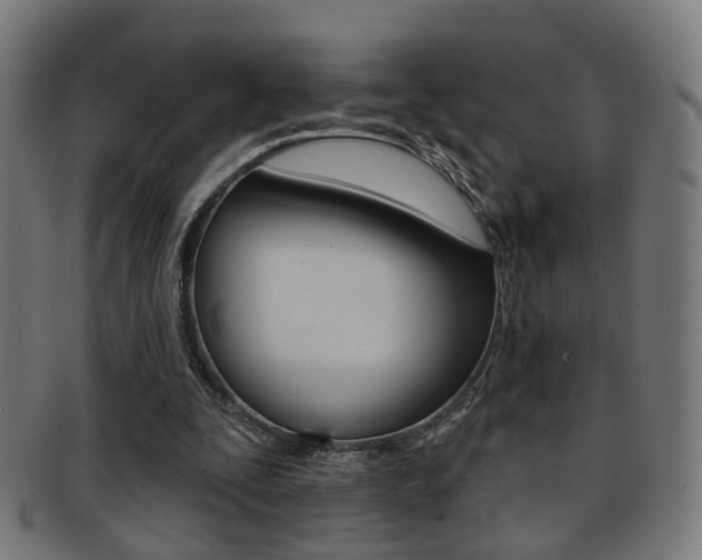 X0000092030295200709061356