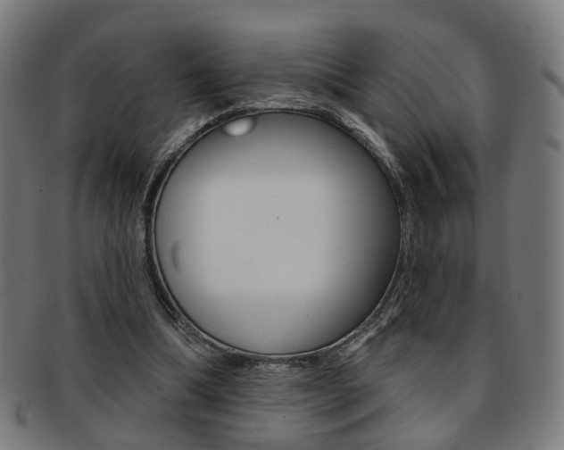 X0000092030298200709061356
