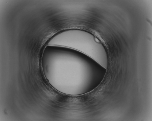 X0000092030299200709061356