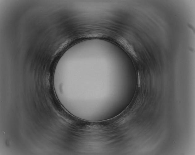 X0000092030300200709061356