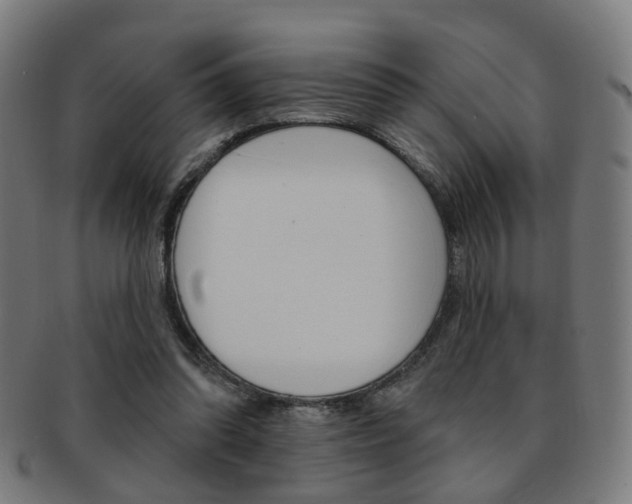 X0000092030302200709061356