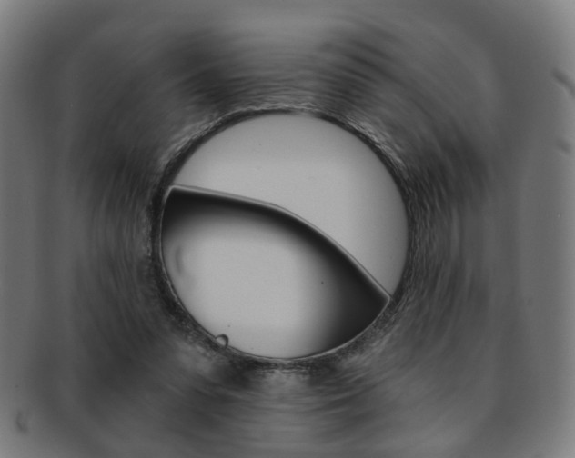 X0000092030303200709061356
