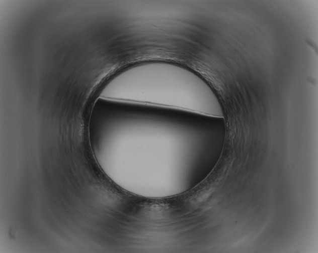 X0000092030304200709061356