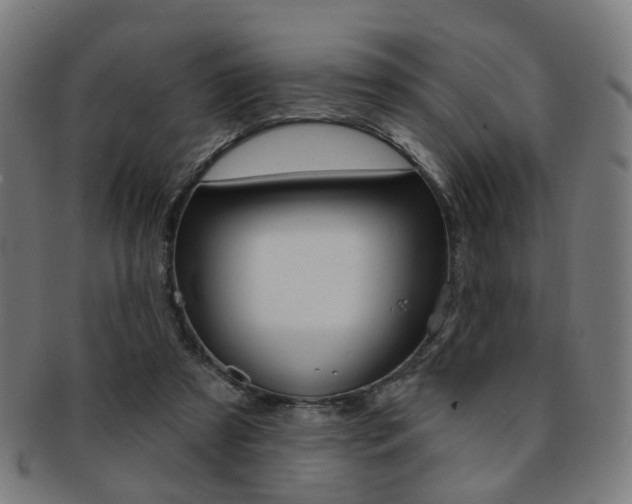 X0000092030305200709061356