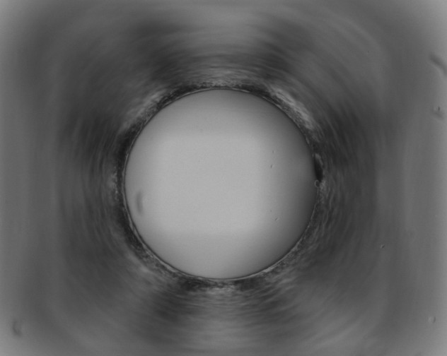 X0000092030306200709061356