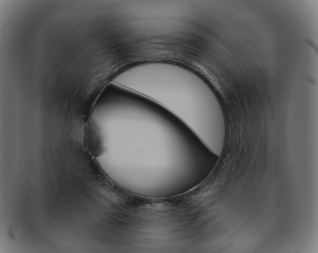 X0000092030307200709061356
