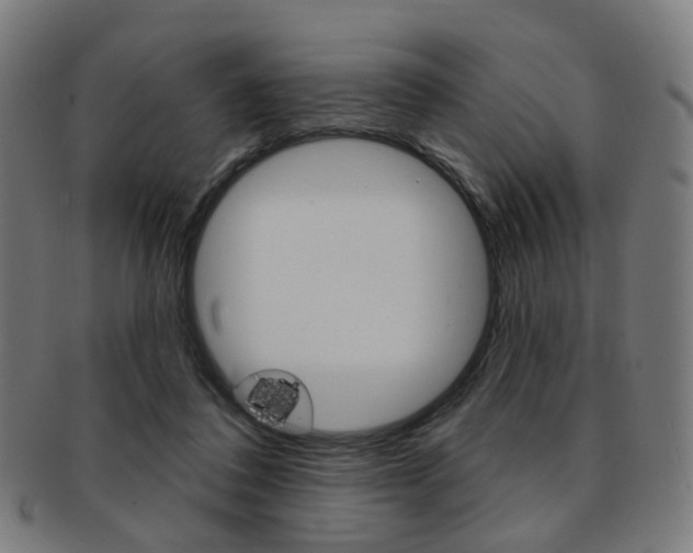 X0000092030308200709061356