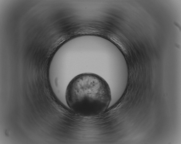 X0000092030309200709061356