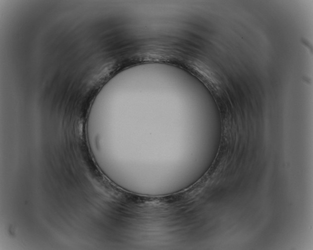 X0000092030310200709061356