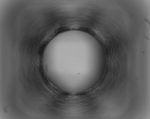 X0000092030311200709061356