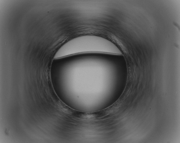 X0000092030313200709061356