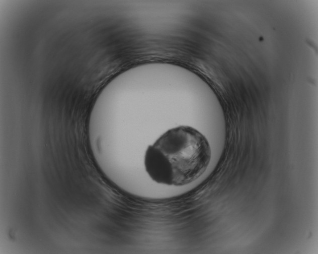 X0000092030317200709061356