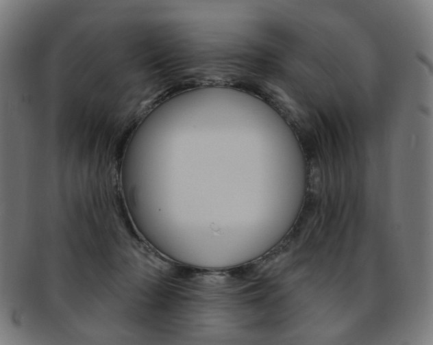X0000092030318200709061356