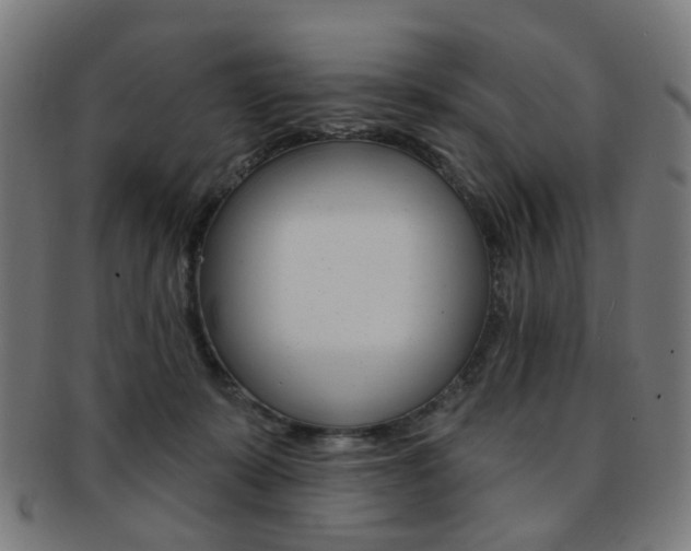 X0000092030319200709061356