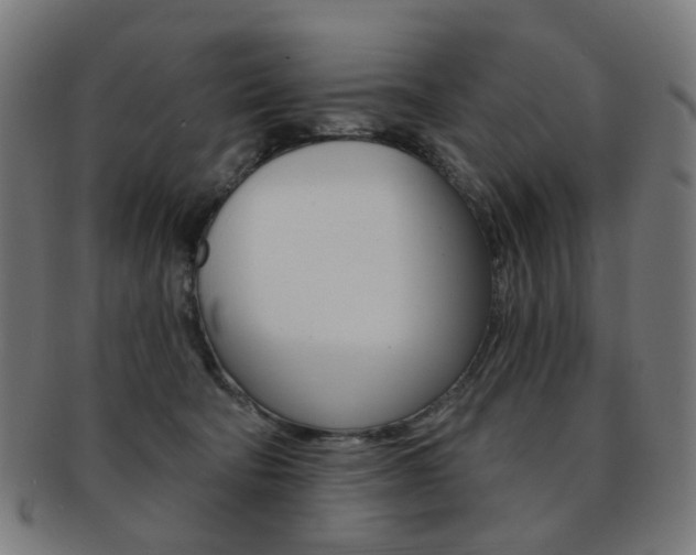 X0000092030322200709061356